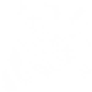Tổ chức Event