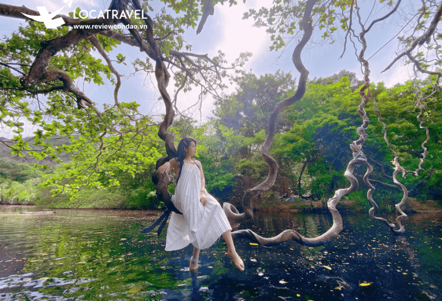 Tour Bắc Đảo