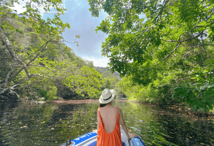 Tour Bắc Đảo