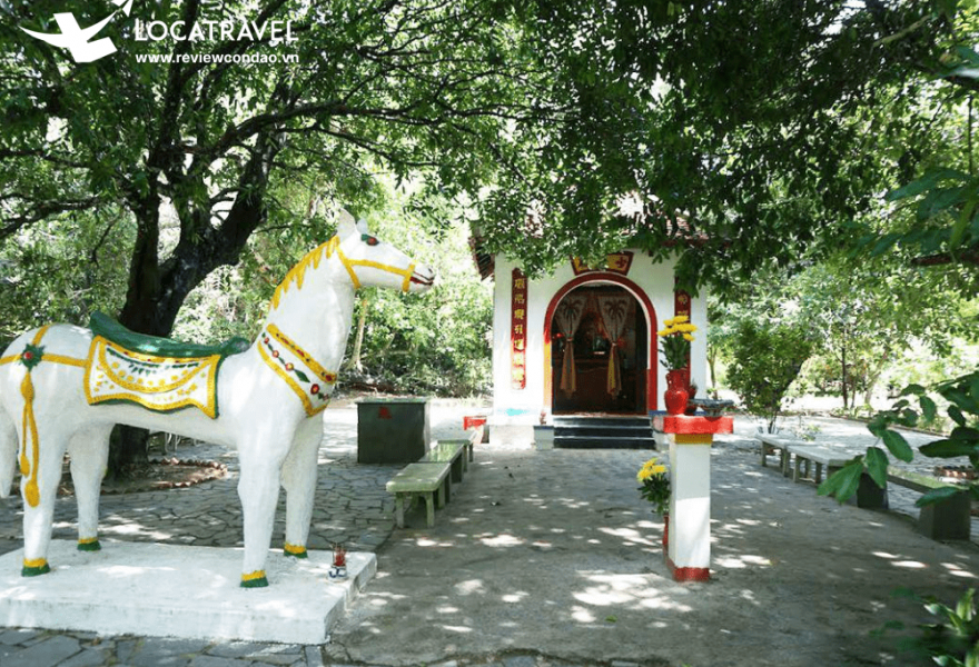 Tour Bắc Đảo