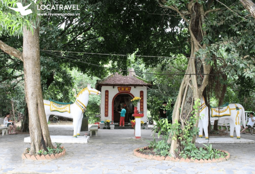Tour Bắc Đảo